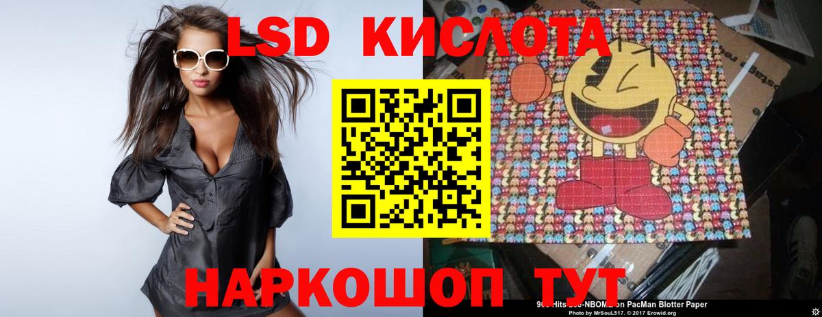 Сегежа  Лсд 25 экстази ecstasy  Вход с VPN 