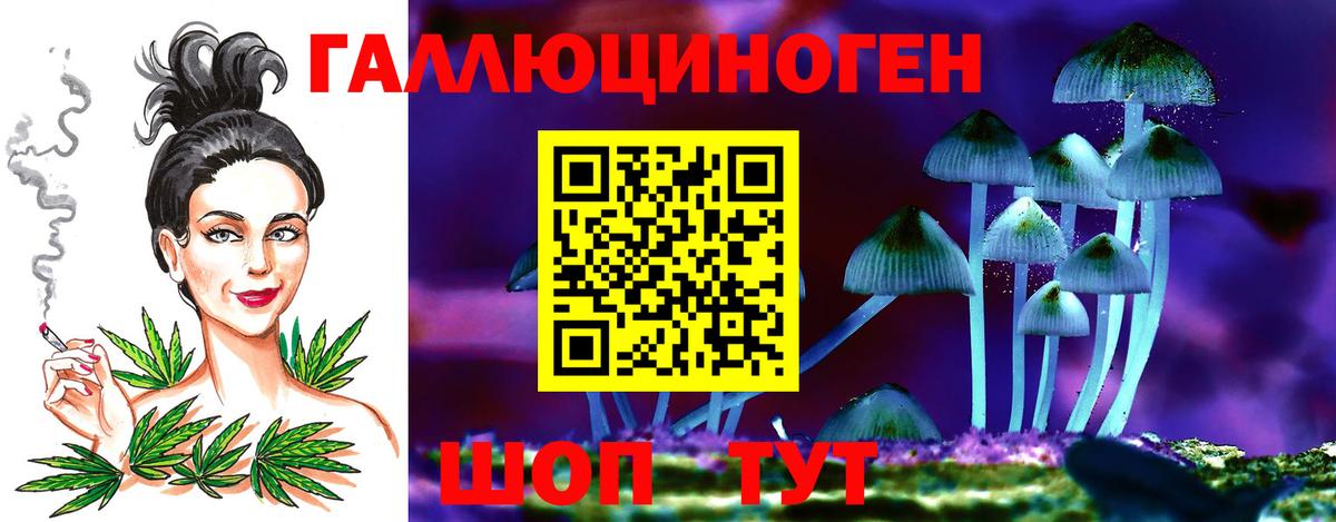 Сегежа  Галлюциногенные грибы прущие грибы  Псилоцибиновые грибы GOLDEN TEACHER  Вход с VPN 